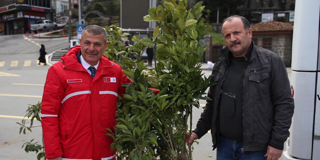 Rize'de kan bağışlayan meyve fidanı hediye!