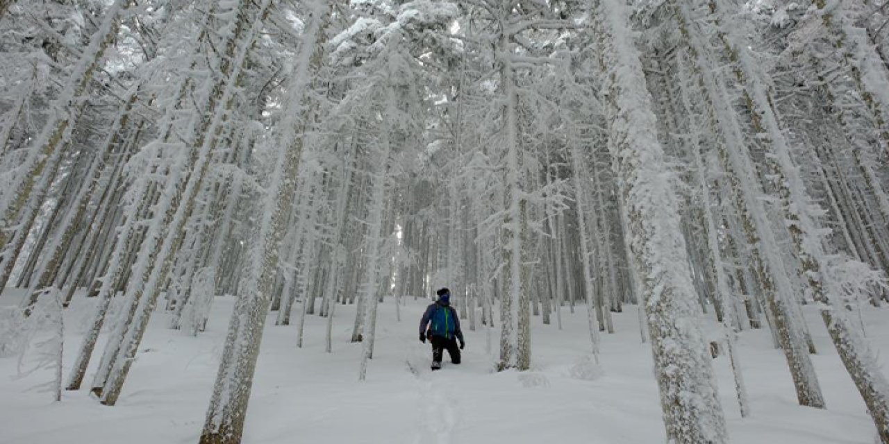 Gümüşhane’de dağcılar kar tünelleri açarak yürüdü!