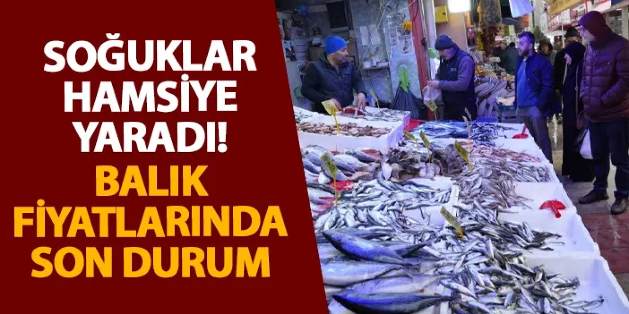 Samsun’da soğuklar hamsiye yaradı! Balık fiyatlarında son durum