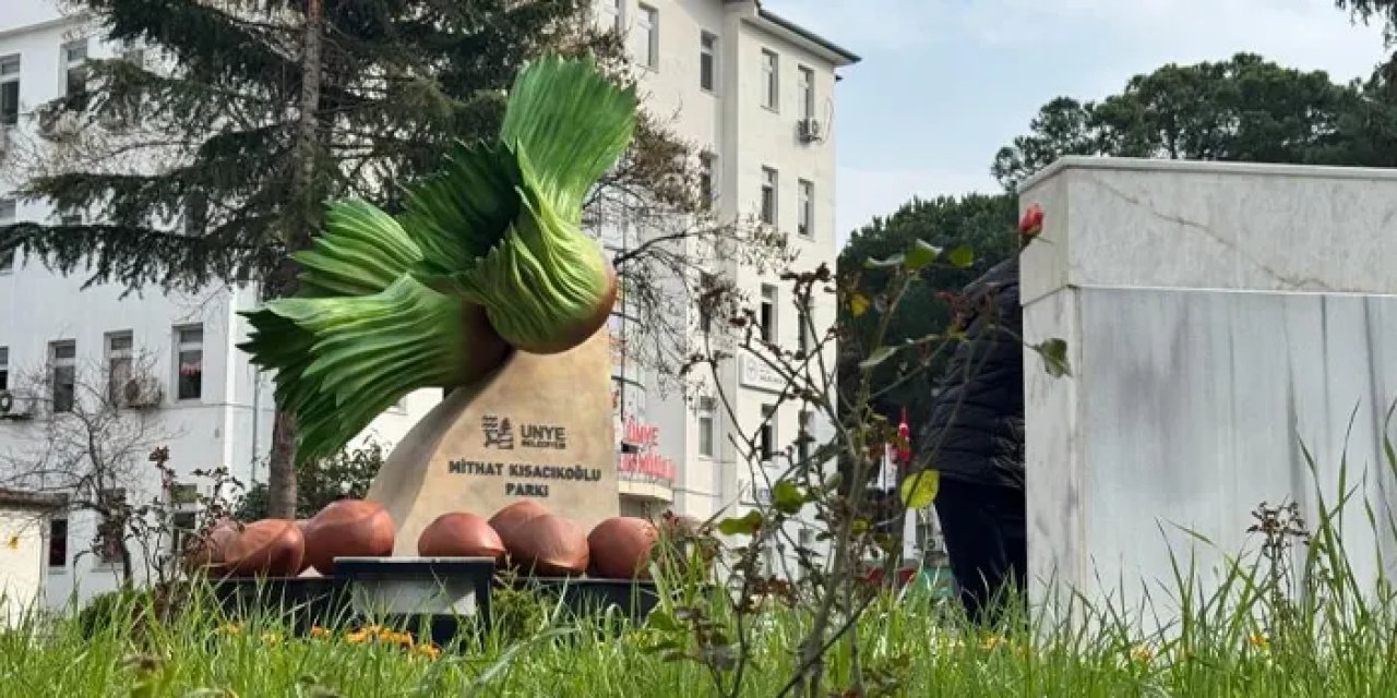 Ordu Ünye’de park fındık figürü ile yenilendi!