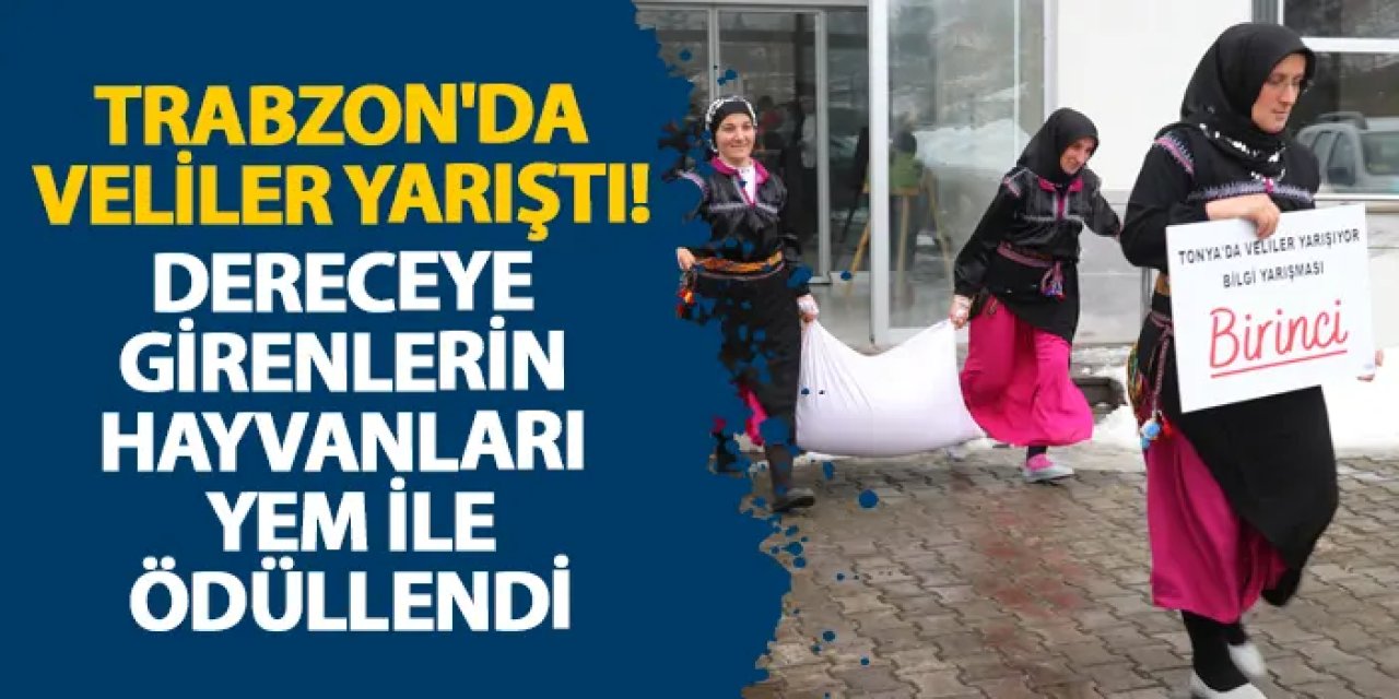 Trabzon'da veliler yarıştı! Dereceye girenlerin hayvanları yem ile ödüllendi