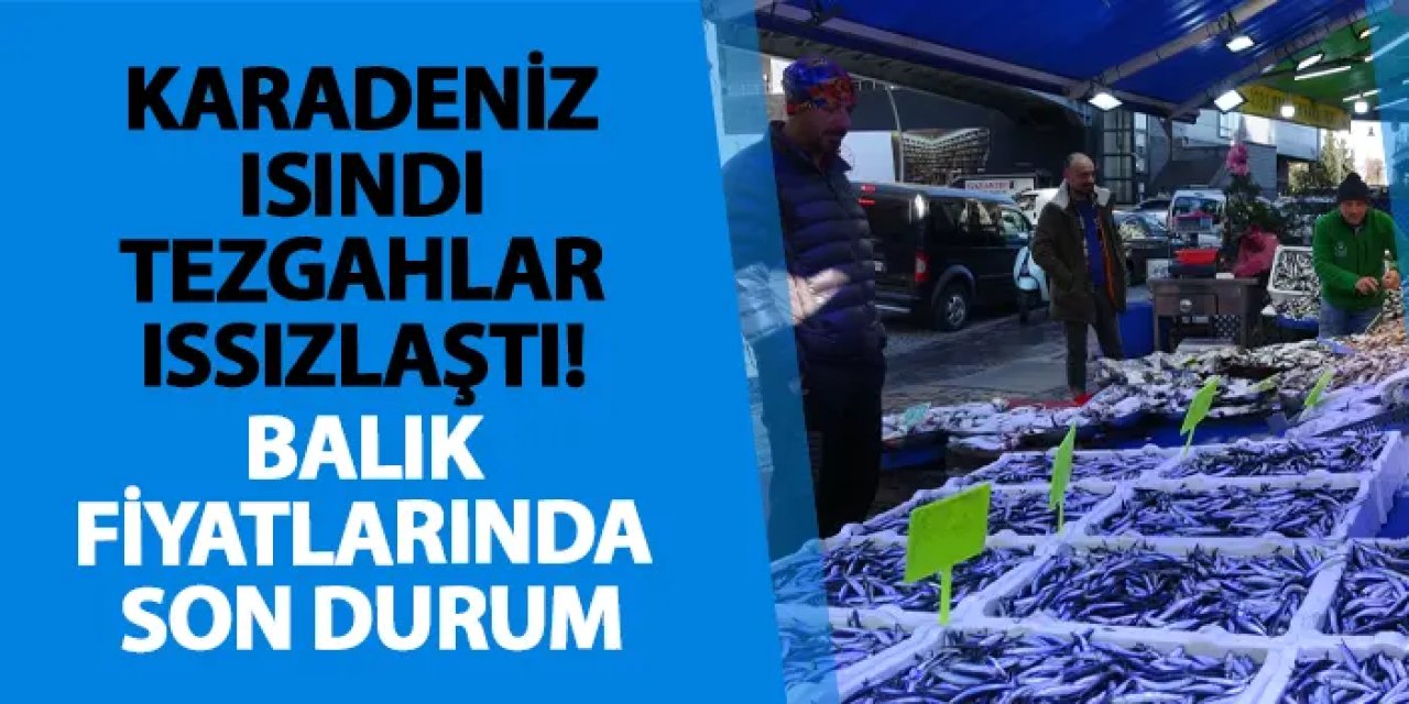 Karadeniz ısındı tezgahlar ıssızlaştı! Balık fiyatlarında son durum