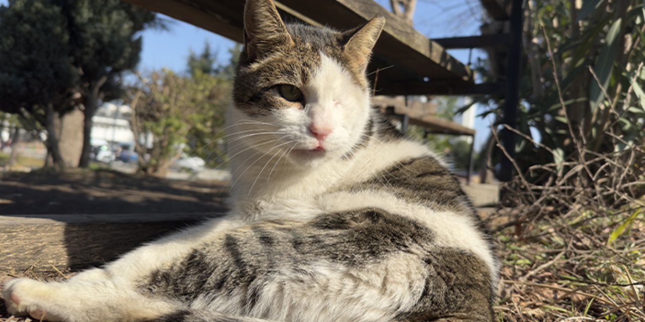 KTÜ’nün sevimli maskotu “korsan” fakültenin gözdesi oldu