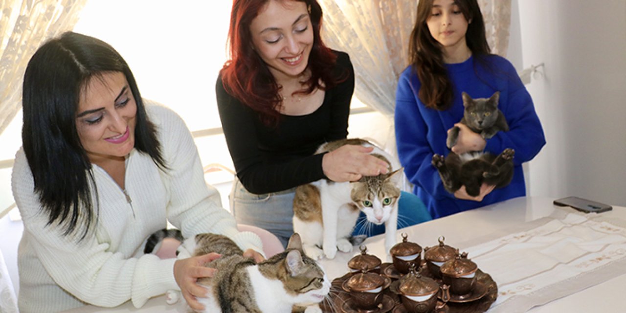 Trabzonlu hemşire, engelli ve hasta kedilere umut oldu!