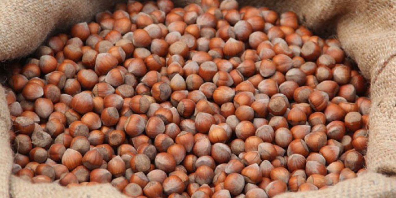 Ordu'da çiftçiler yaşayanlar dikkat! Valilikten kritik uyarı geldi