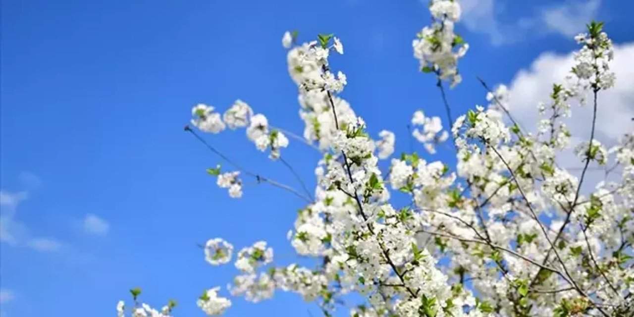 Cemre nedir? Ne zaman düşer? İlk cemre düştü mü, ne zaman düşecek?