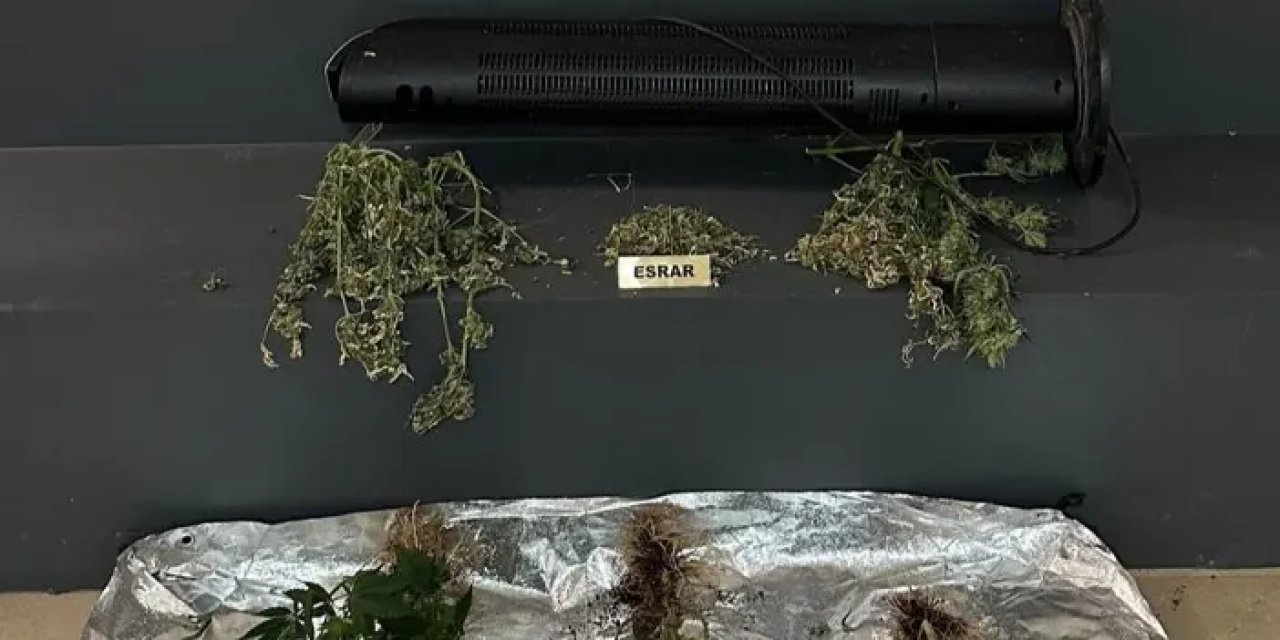 Samsun’da elbise dolanda kenevir serası!