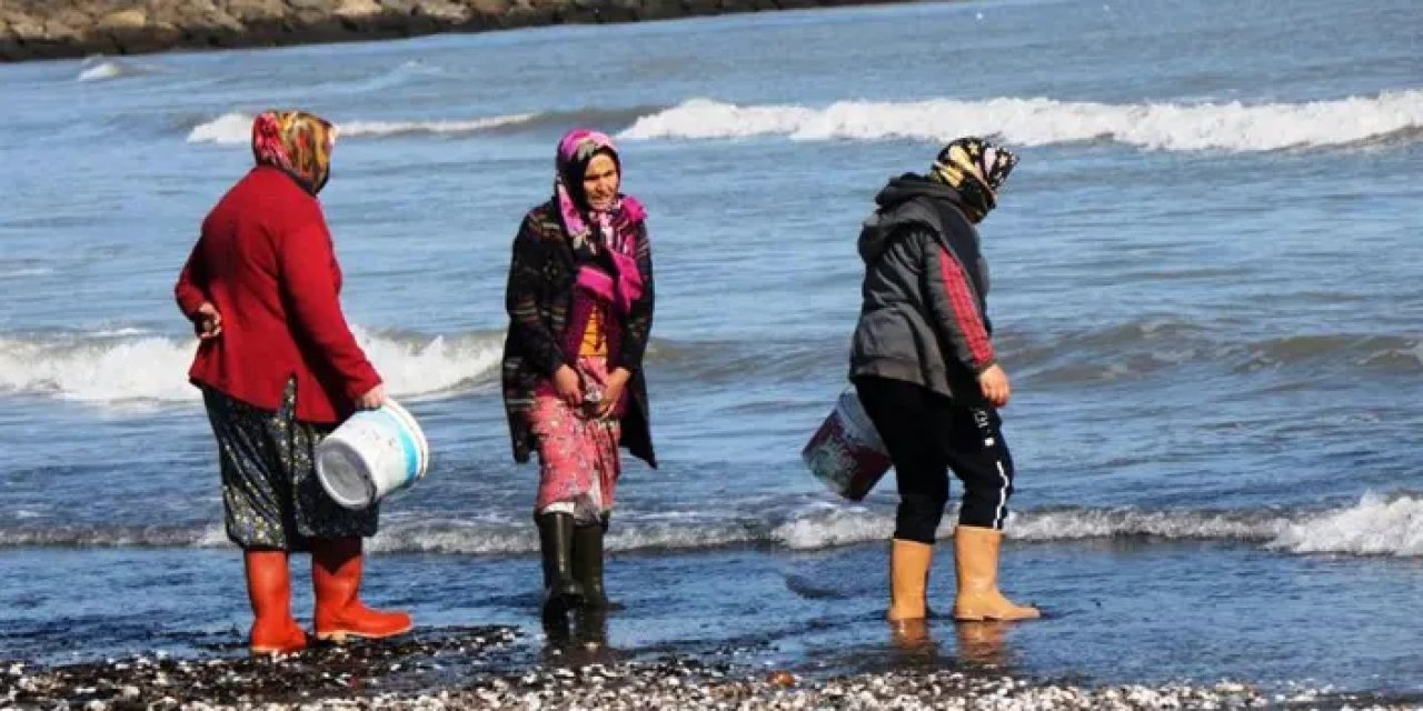 Samsun’da kadın balıkçılar için destek! Yüzde 35’den fazlası verilecek