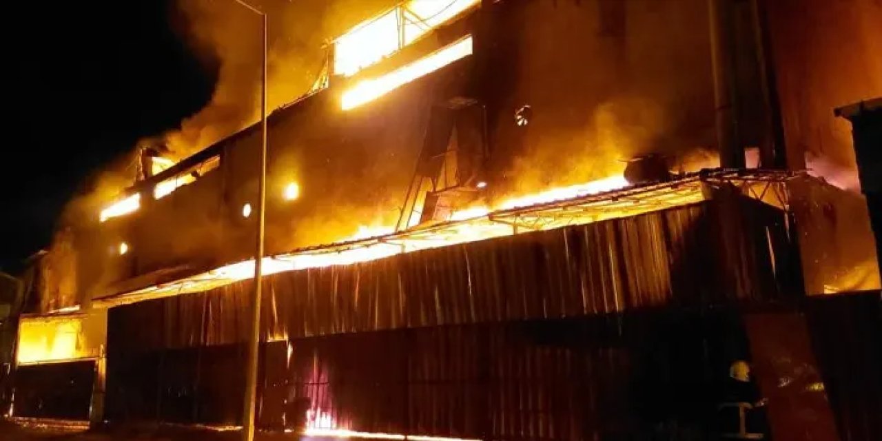 Samsun’da profesör uyardı! “İnsanı zehirlemesi söz konusu”