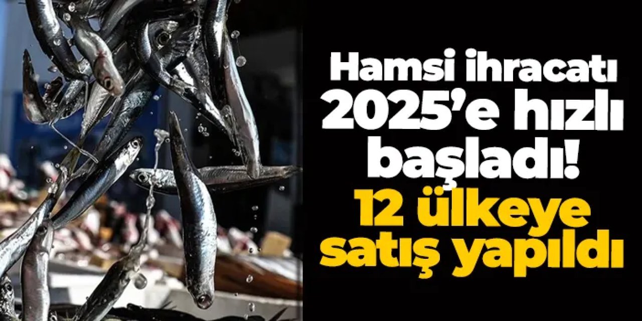 Hamsi ihracatında rekor artış! Gelir yüzde 29, miktar yüzde 44 yükseldi
