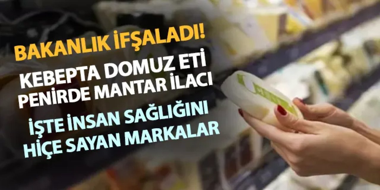 Bakanlık ifşaladı! Kebapta domuz eti, peynirde mantar ilacı, poşet çayda gıda boyası...