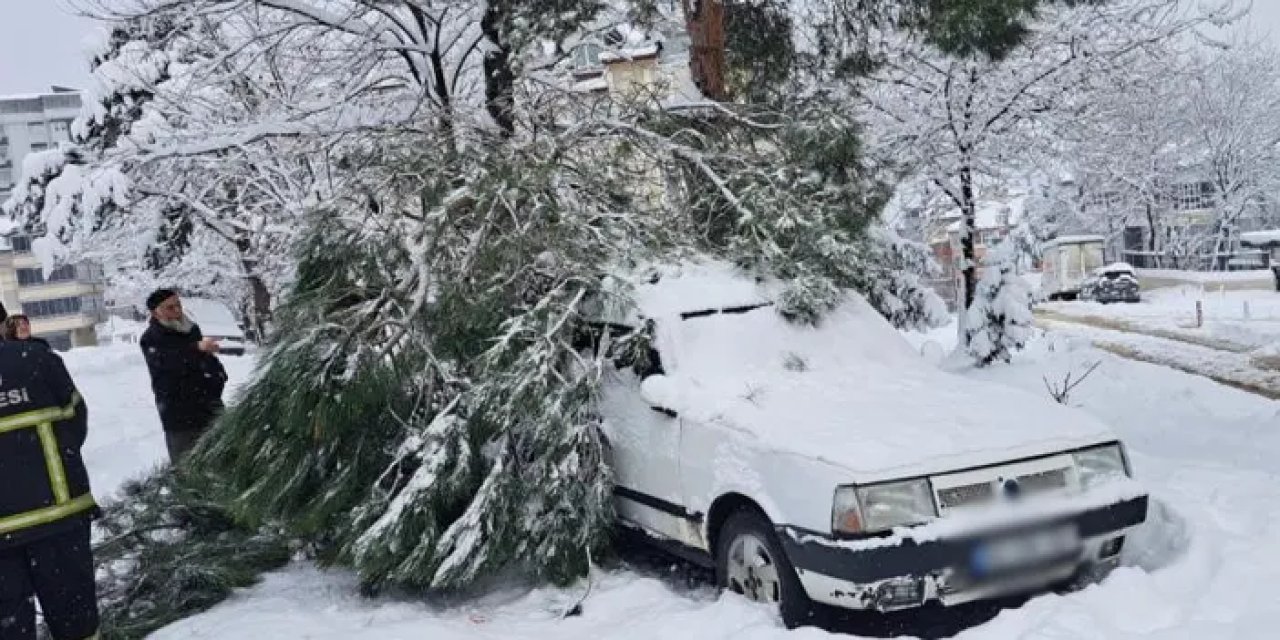 Ordu’da kar yağışı nedeniyle 2 noktada ağaç yıkıldı