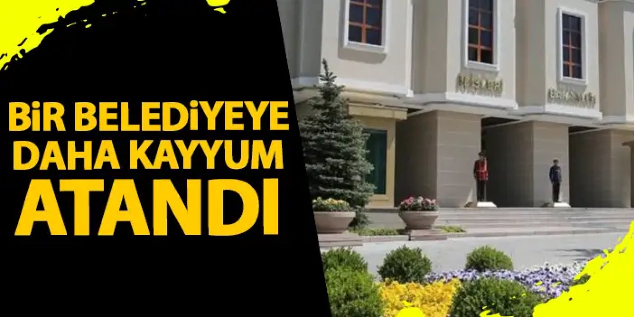 Kağızman Belediyesi'ne kayyum atandı! Mehmet Alkan Kimdir?