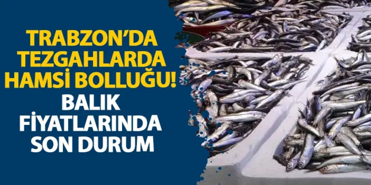 Trabzon’da tezgahlarda hamsi bolluğu! Balık fiyatlarında son durum