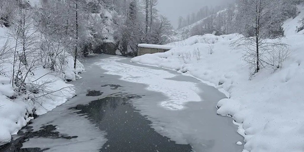 Karadeniz buz kesti! Rize'de dereler dondu