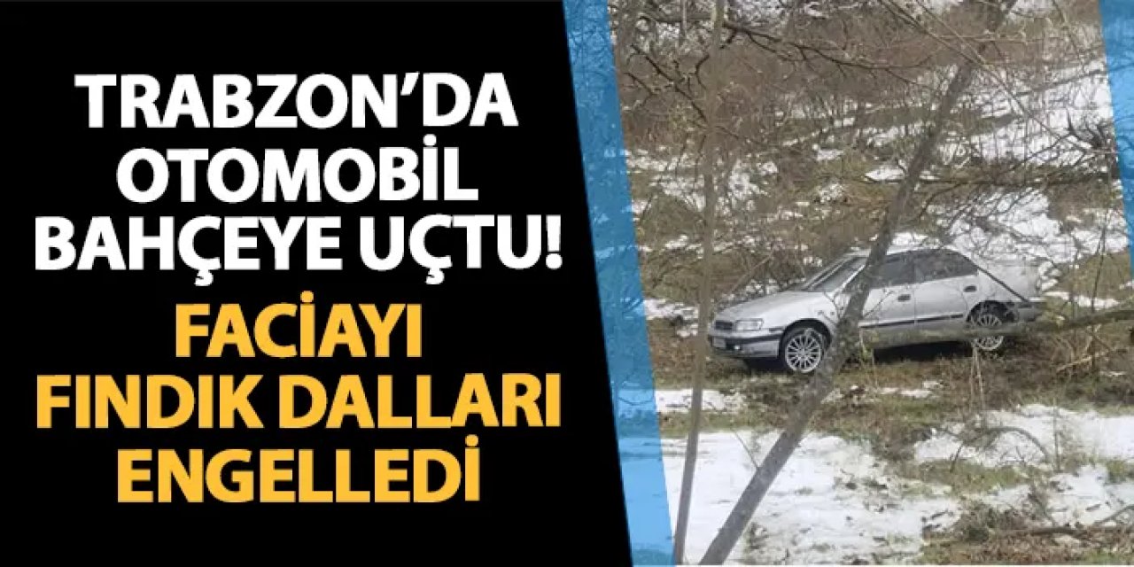 Trabzon'da otomobil bahçeye uçtu! Faciayı fındık dalları engelledi
