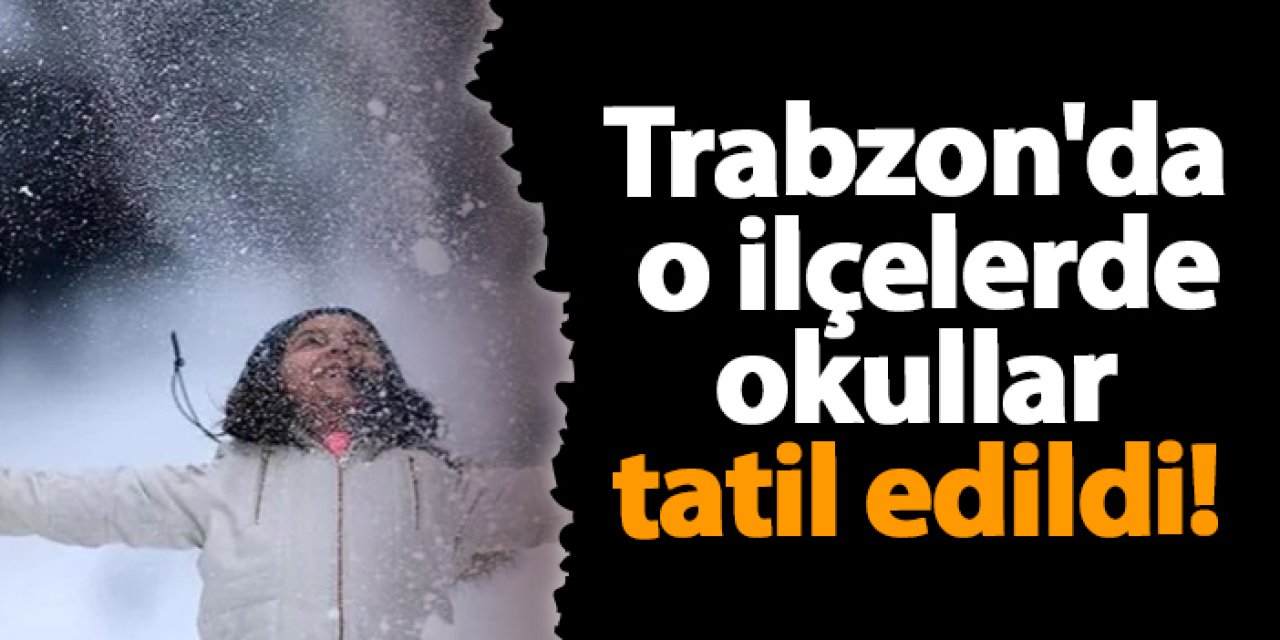 Trabzon'da o ilçelerde okullar tatil edildi!