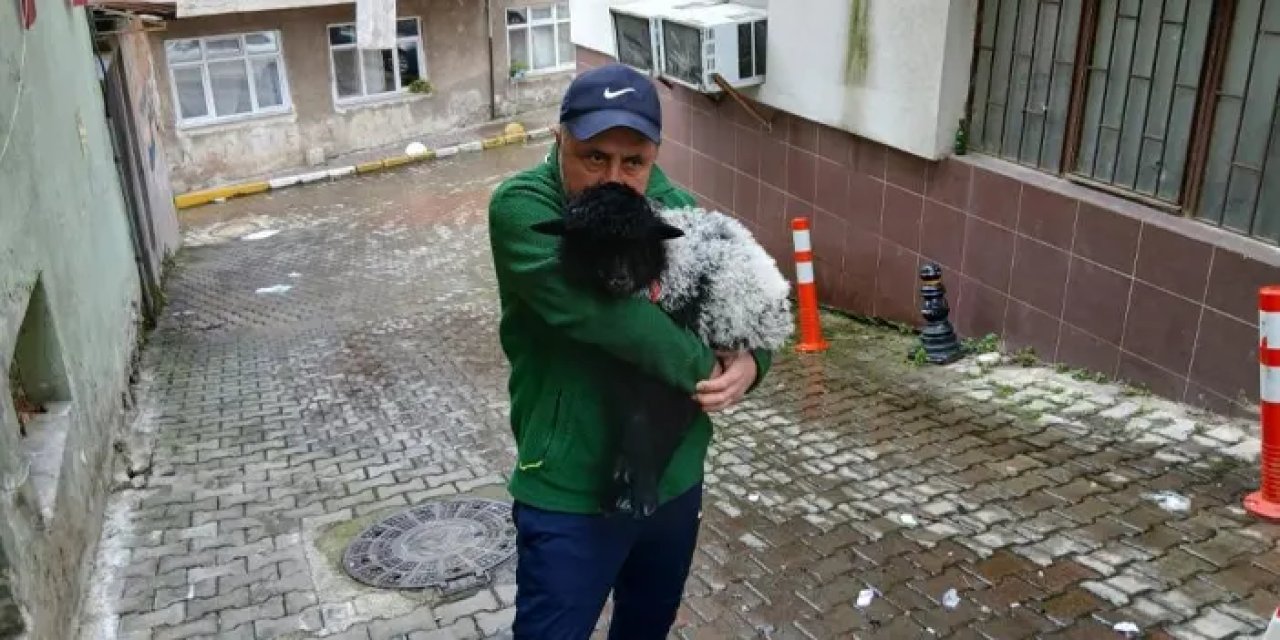 Giresun’da sahiplendiği kuzu ile şehri geziyor!