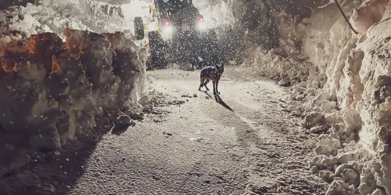 Artvin ve Rize'de 316 yerleşim yerine ıulaşım yok!