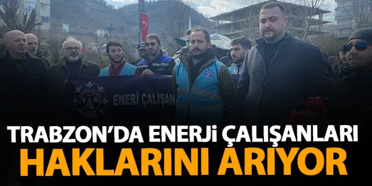 Enerji Çalışanları Sendikası: "işçiler Sefalet Ücretine Mahkûm Ediliyor"