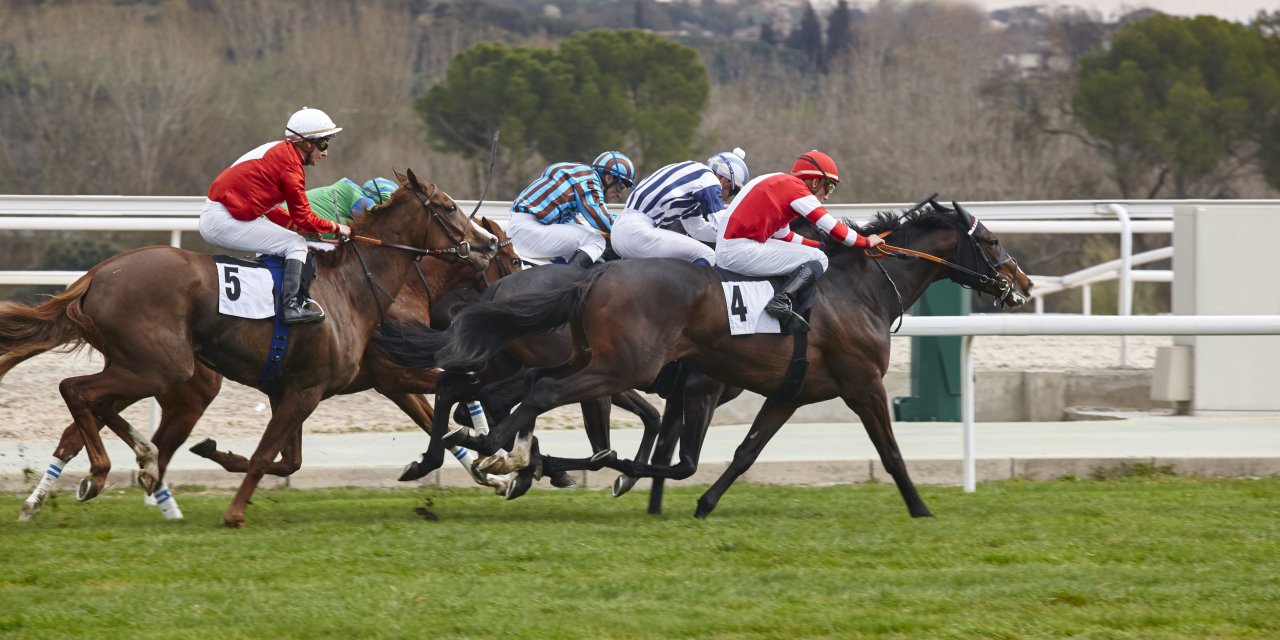 Altılı Ganyan Nedir?