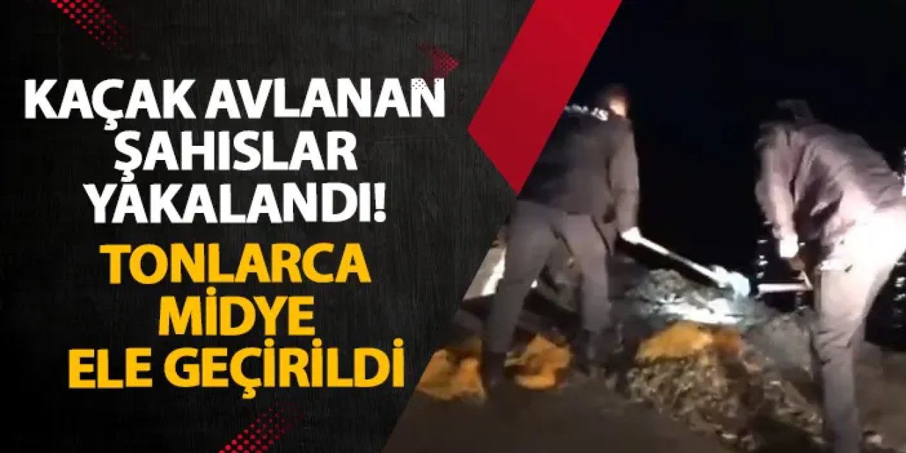 Samsun’da kaçak avlanan şahıslar yakalandı! Tonlarca midye ele geçirildi