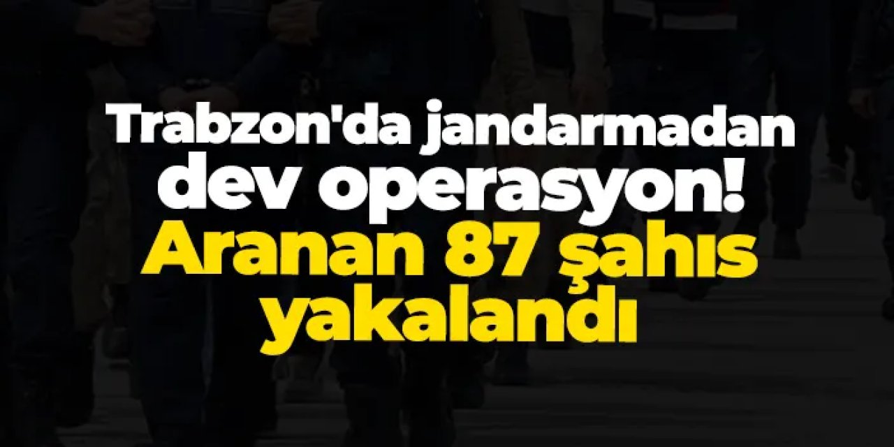 Trabzon'da jandarmadan dev operasyon! Aranan 87 şahıs yakalandı