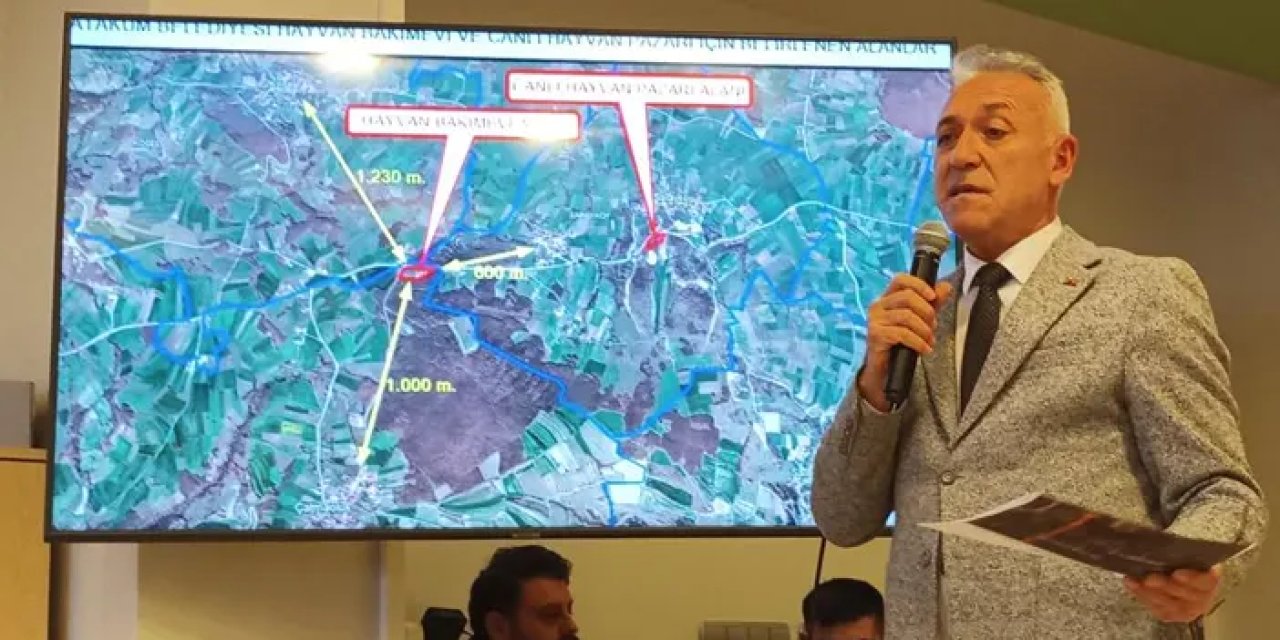 Samsun Atakum meclisinde gündem hayvan barınağı!