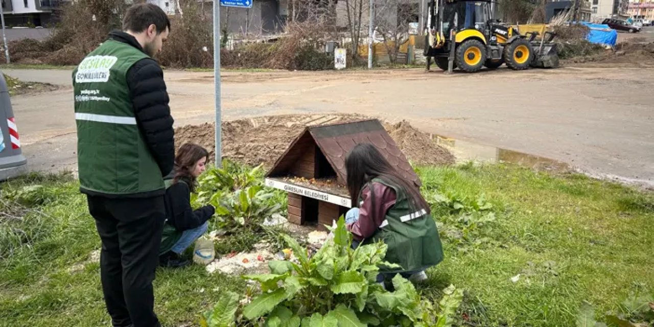 Giresun’da gönüllülerden hayvanlara mama desteği!