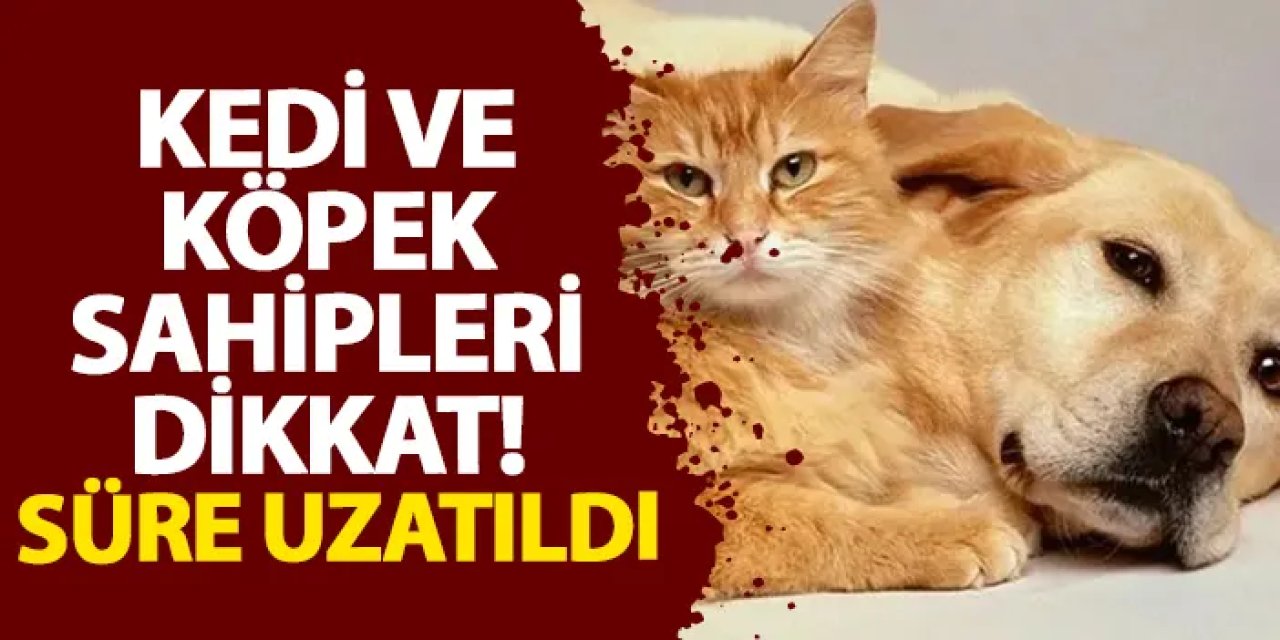 Kedi ve köpek sahipleri dikkat! Süre uzatıldı