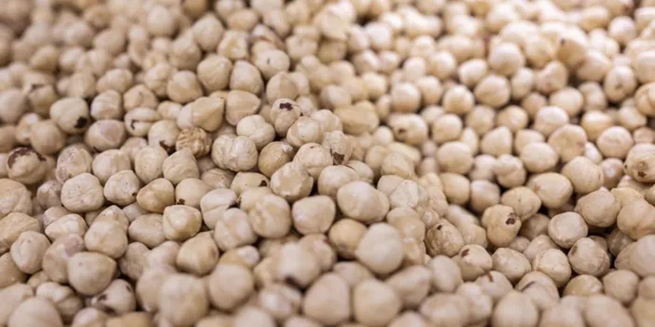 Türkiye'ye fındıktan 7 ayda dev gelir