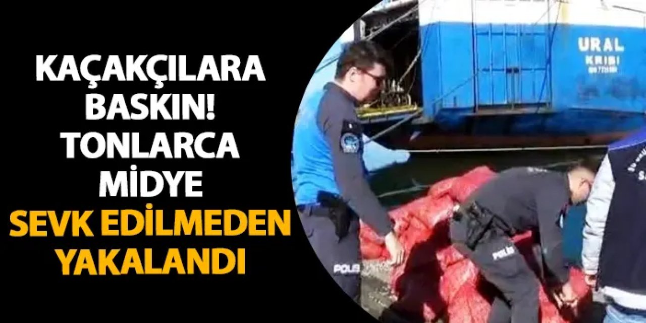 Samsun’da kaçakçılara baskın! Tonlarca midye sevk edilmeden yakalandı