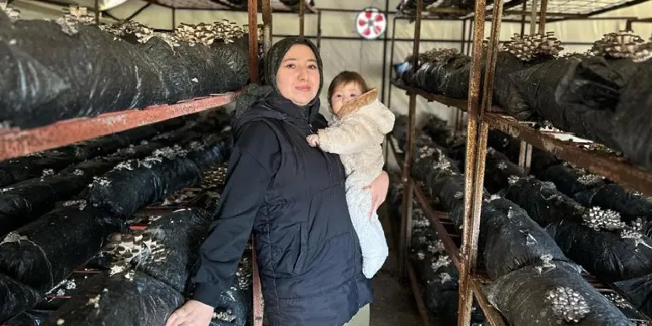Samsun’da 4 çocuk annesinin azmi hayran bırakıyor! 35 ton mantar üretiyor
