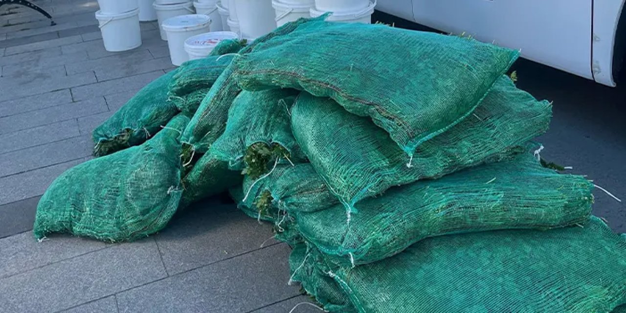 Otobüs bagajında 1 ton salça ve maydanoz! Firmaya ağır ceza