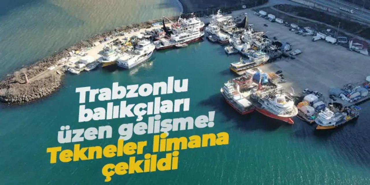 Trabzonlu balıkçıları üzen gelişme! Tekneler limana çekildi