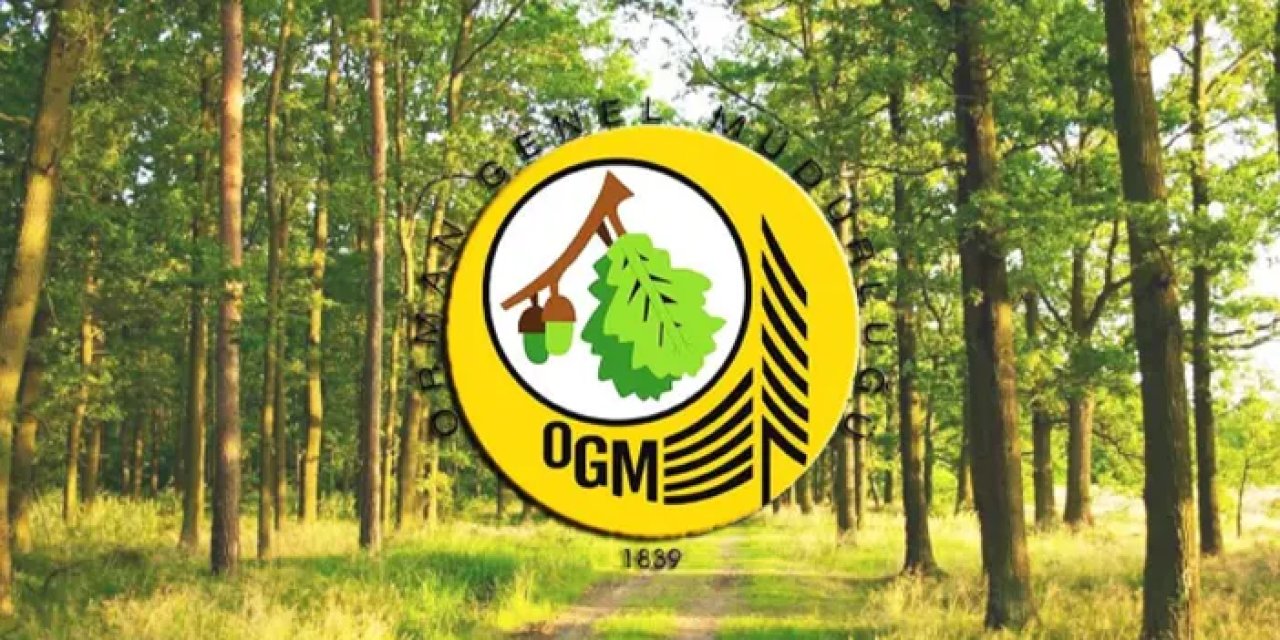 OGM, Tarım Bakanlığı orman işçisi, arazöz şoförü şartları: Dozer, greyder, ekskavatör, traktör operatörü başvuru şartları