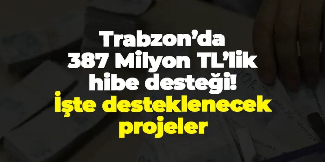 Trabzon’da 387 Milyon TL’lik hibe desteği! İşte desteklenecek projeler