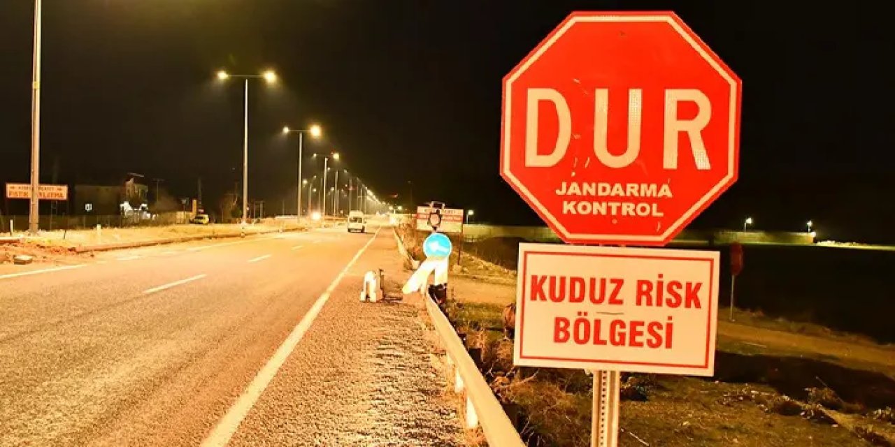 Bir ilde kuduz alarmı! 6 ay süreyle karantinaya alındı