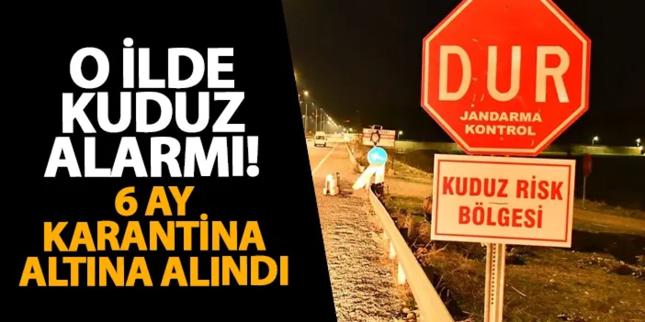 O ilde kuduz alarmı! 6 ay karantina altına alındı
