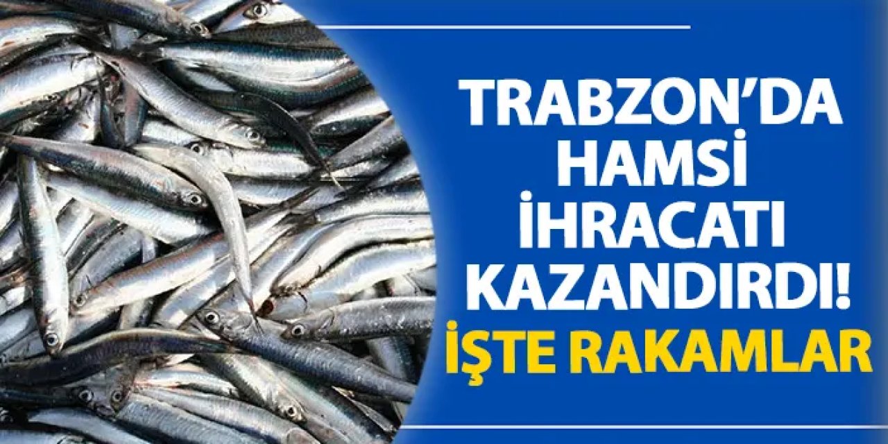 Trabzon’da hamsi ihracatı kazandırdı! İşte rakamlar