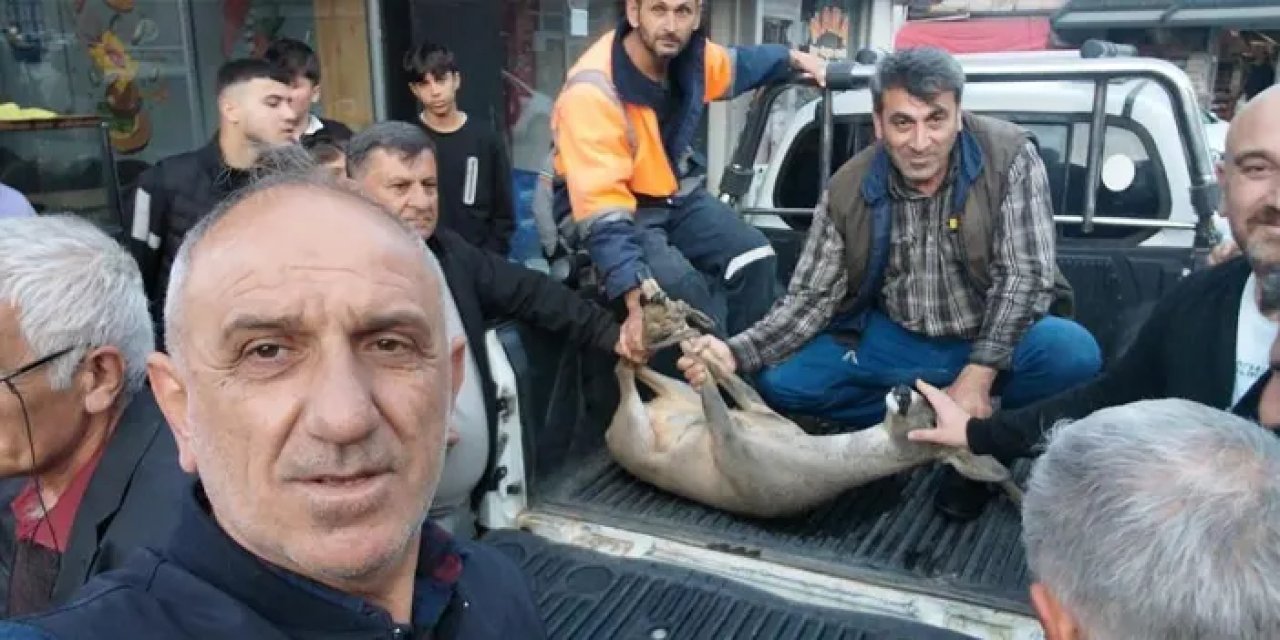 Artvin’de kar yağışı ile karacalar şehre indi!