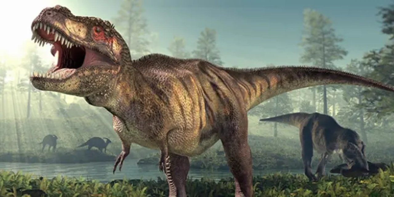 Okulda 66 fosilleşmiş dinozor ayak izi tespit edildi