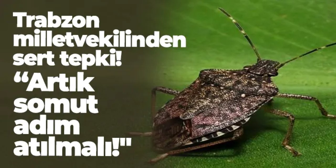 Milletvekili Aydın’dan sert tepki: "Kahverengi kokarca için artık somut adım atılmalı!"