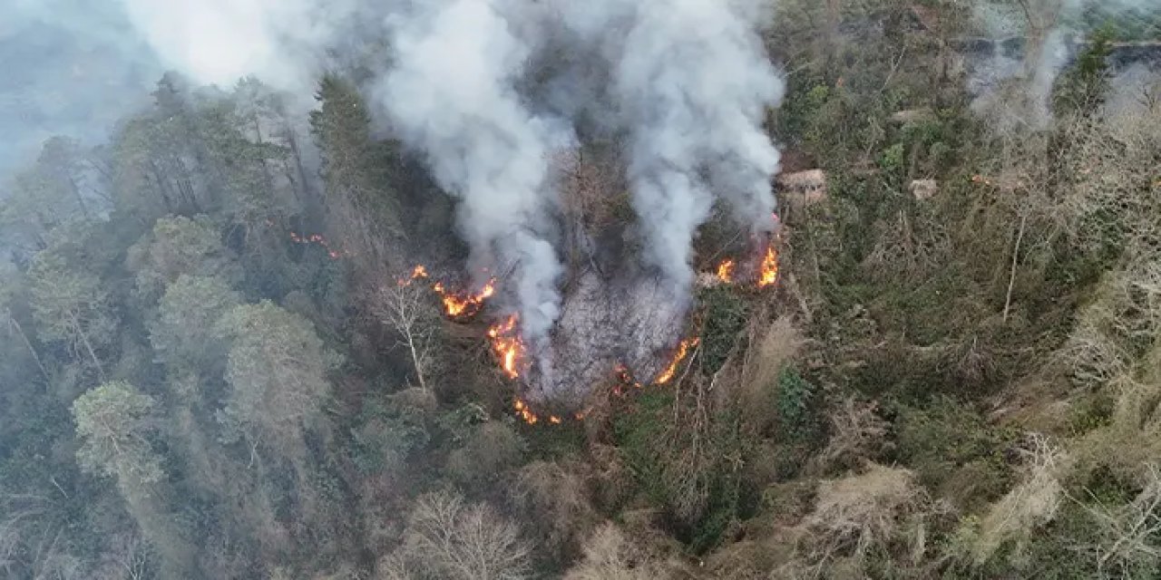Trabzon'da örtü yangını! 10 dönüm alan zarar gördü
