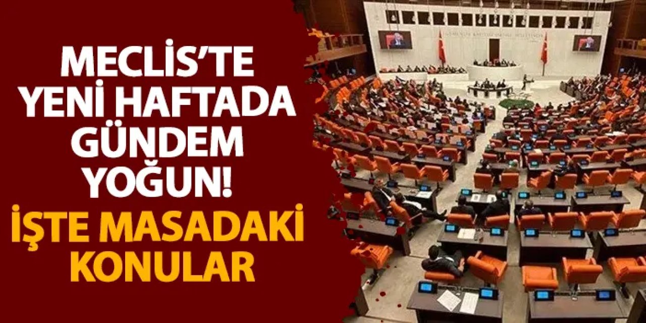 Meclis’te yeni haftada gündem yoğun! İşte masadaki konular