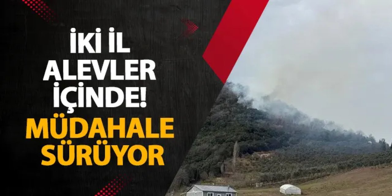 İki il alevler içinde! Müdahale sürüyor