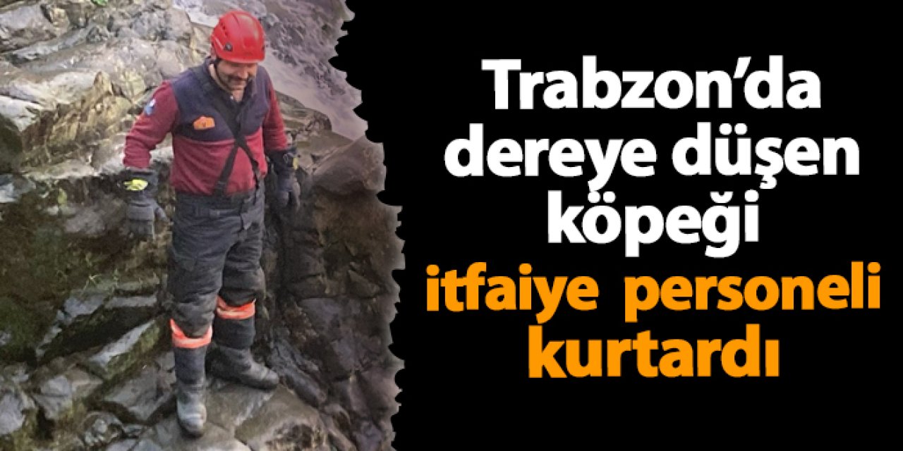 Trabzon’da dereye düşen köpeği itfaiye  personeli kurtardı