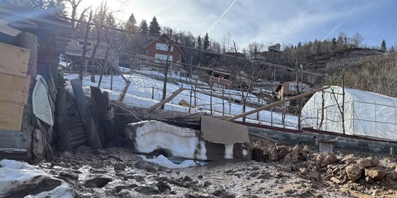 Artvin'de heyelan nedeniyle 2 ev zarar gördü