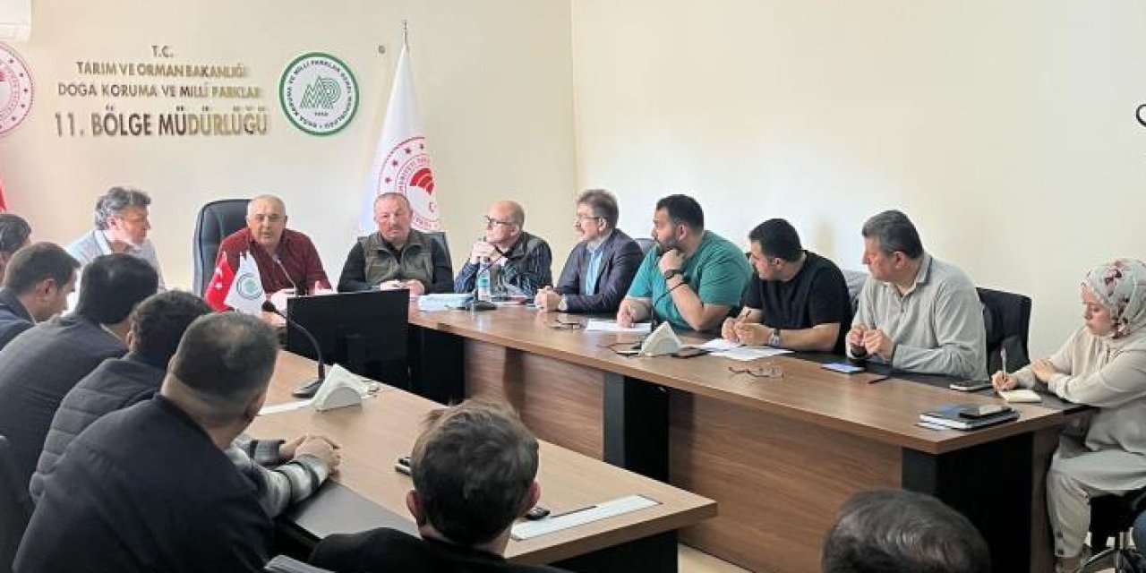 Samsun'da sahipsiz hayvanların toplanması görüşüldü