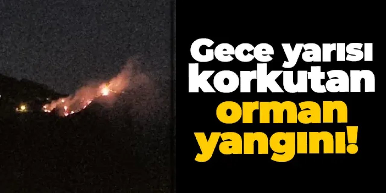 Giresun'da gece yarısı korkutan orman yangını! 10 dönüm alan küle döndü